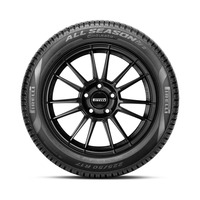235/65  R18  Pirelli Cinturato All Season SF2 100H Вид 2