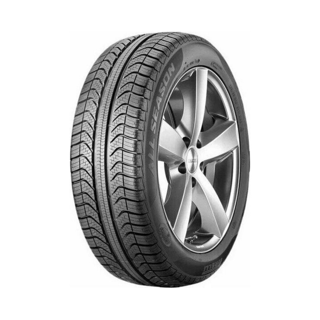 205/55  R16  Pirelli Cinturato AS+ 91V (2022 г. в.) Вид 0