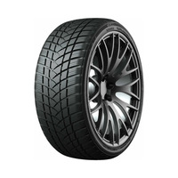 215/65  R17  GT Radial Champiro WinterPro 2 V99